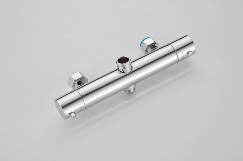 Dual-Function Thermostatic Shower System